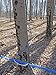Maple Syrup Tree Tapping Tubing Line – 50 FEET - 5/16 inch Vacuum Line Hose – Can use with Drop Line Tubes Set-up – Semi Stiff Blue – 15 Year (50 Foot Length)