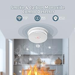 SITERWELL 2.4G WiFi Smoke Detector Carbon Monoxide
