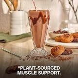 Bulk Vegan Protein Powder Chocolate Cookies 1 kg Plant Based 23g per serving view 6