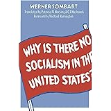 Why is there no Socialism in the United States?