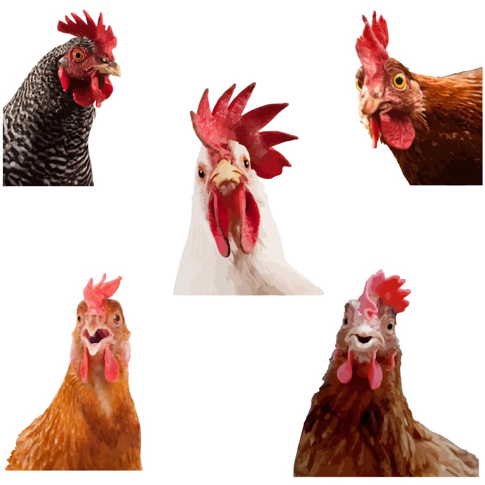SUPERDANT Rooster Head Wall Stickers Realistic Style Wall Decals Cute Poultry Decals Stickers for Walls Peel and Stick Removable Vinyl Art for Kitchen Pantry Farm Chicken Coop Zoos — image 1
