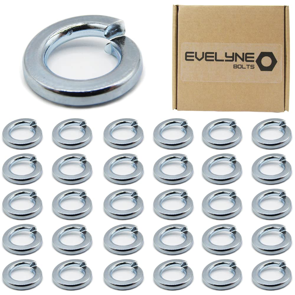 M8 (8mm) Spring Washer Set - Steel - Evelyne (Pack of 30)