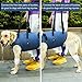 Coodeo Dog Lift Harness, Pet Support & Rehabilitation Sling Lift Adjustable Padded Breathable Straps for Old, Disabled, Joint Injuries, Arthritis, Loss of Stability Dogs Walk (Blue, XL)