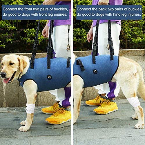 Coodeo Dog Lift Harness Pet Support Rehabilitation Sling Lift Adjustable Padded Breathable Straps For Old Disabled Joint Injuries Arthritis Loss Of Stability Dogs Walk Large Pricepulse