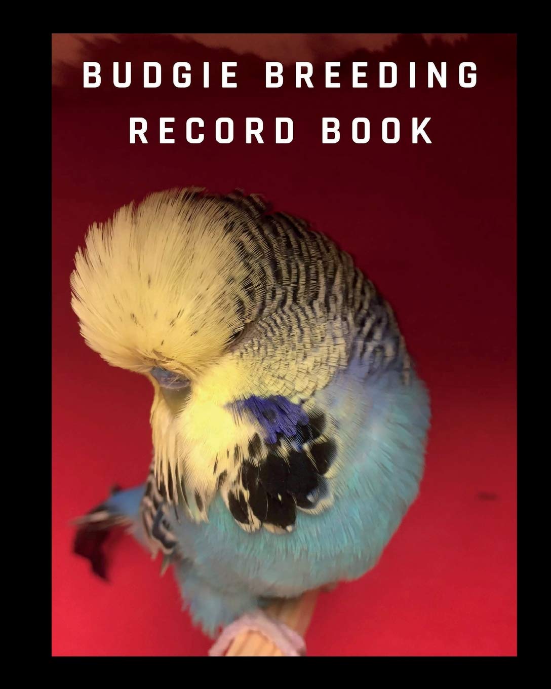 Budgie breeding record book: log book for birds ,notebook, diary, hatching  chicks,eggs,cage,100 templates 8" x 10" Paperback – 15 Jul 2018