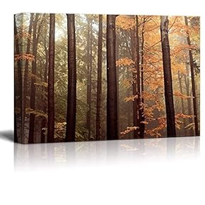 Forest with Tall Trees and Yellow Leaves