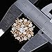 L'VOW 12px Gold Silver Crystal Button Brooches Scarves Buckle Floriated Brooch Collar Pin Rhinestone Corsage Bouquet Kit (Gold M)