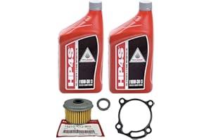 JET SKIS INTERNATIONAL OEM Full Synthetic Oil Change Kit Compatible with Honda CRF250L CRF300L CRF Rally 250 300 Oil Filter, Gasket, & Washer