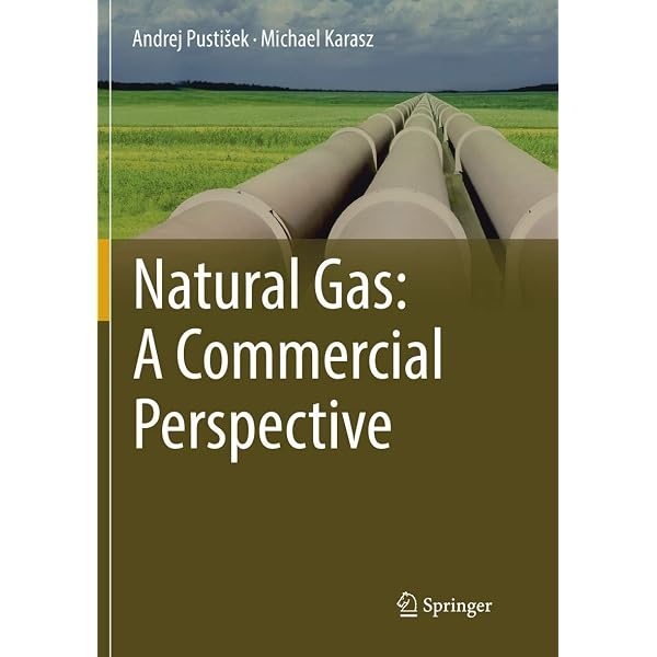 Handbook of Liquefied Natural Gas: Mokhatab, Saeid, Mak, John Y