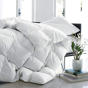 Buy Mrniu Full Queen Size Duvet Insert Goose Down Comforter Winter