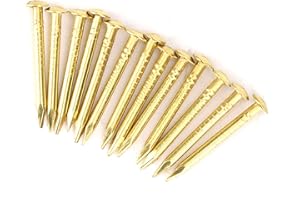 HEEPDD 100Pcs Brass Escutcheon Tacks, Round Head Brass Brad Nail Hardware Nail Assortment Kit Furniture Hinge Hardware Accessories 10mm/15mm/18mm/22mm(18mm Length)