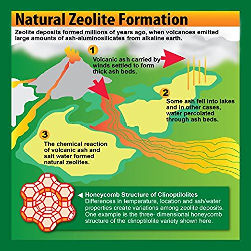 SomaVital Zeolite Powder Removes Toxins, Improves Immune System, Weight