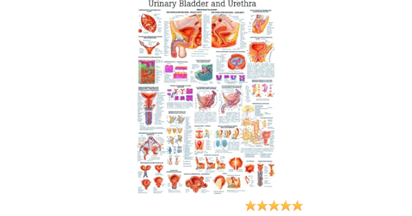 Image of 616316877962