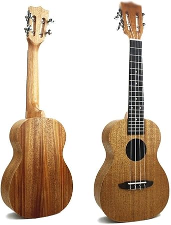 Instrumento de cuatro cuerdas mas pequeã±o que la guitarra | Las mejores  guitarras