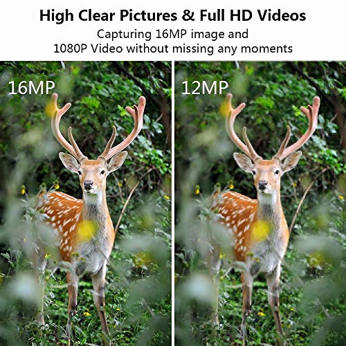 image for FUNSHION Trail Camera 16MP 1080P Game Camera with 2.4 inch LCD IP56 Wa