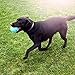 Rocco & Roxie Dog Toys Balls - Tough Nearly Indestructible Toy for All But the Most Aggressive Chewers - Balls for Large and Small Dogs - Made in USA (Powder Blue 4 inch ball)