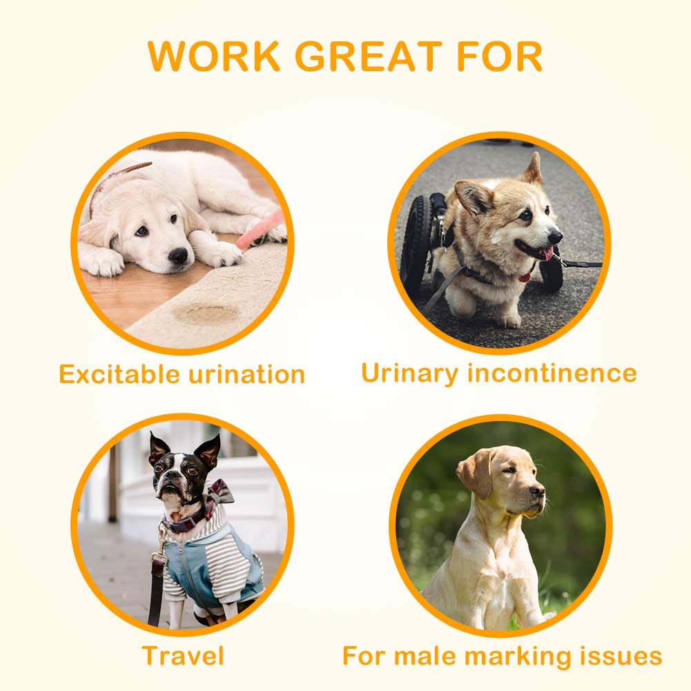 extra large male dog wraps