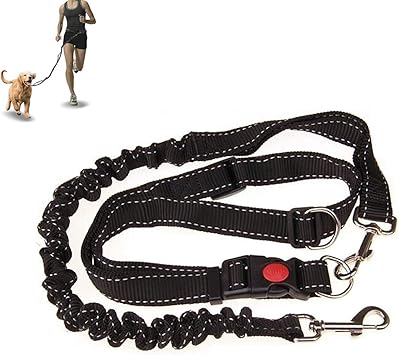 dog waist belt