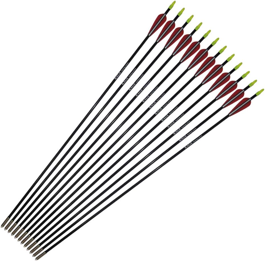 PA 25" 31" Fiberglass Arrows Children Arrows Archery Target Shooting Hunting Practice Arrows for Recurve Bow : Sports & Outdoors