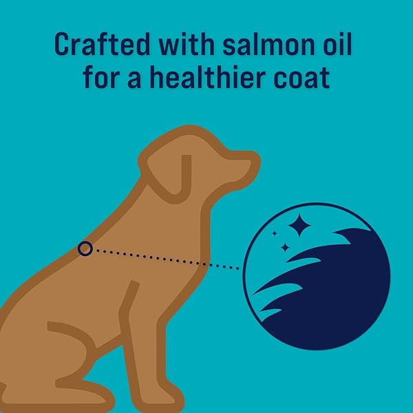 STEWART FREEZE DRIED DOG TREATS, SHINE SALMON & SWEET POTATO, MADE WITH OMEGA 3 & SALMON OIL, GRAIN FREE, 4 OUNCE RESEALABLE POUCH, MADE IN USA