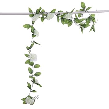 ベランダ 植物 蔓 ベランダ 植物 蔓