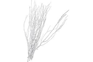 COHEALI 10Pcs White Decorative Tree Branches for Vase Twigs for Rustic Farmhouse Floral Arrangement Wedding