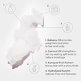 OUAI Medium Shampoo + Conditioner Set Nourishes with Babassu Coconut Oils 300 ml view 5