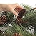 Factory Direct Craft 9 Foot Long Artificial Pine Rope Garland for Christmas Holiday Decorations