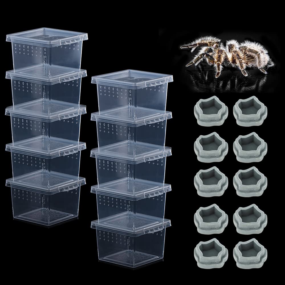 Photo 1 of 10 Pack Small Size Spider Terrariums Breeding Box Hatching Container Insect Scorpion Centipede Acrylic Breeding Box (with 10 Pcs Micro Water Bowl