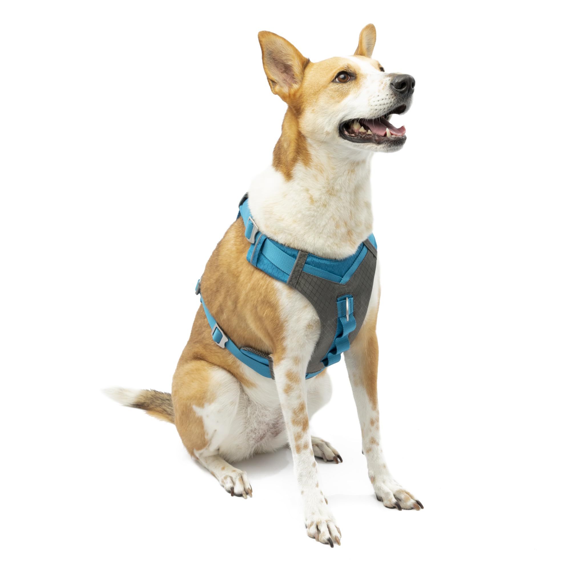 Kurgo Journey Air Dog Harness - Secure Fit for Active Dogs - Padded Chest - Lightweight Ripstop Fabric - Breathable Mesh - Reflective Trim - Back Assist Handle - Blue - X-Large