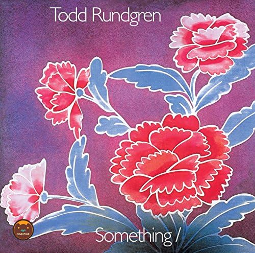 ＊usasa-maru＊　LP/トッド•ラングレン Something TODD RUNDGREN - something/anything LP - Amazon.com Music