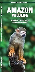 kindle best category lists