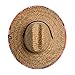 Hemlock Hat Co. Men's Tropicana Straw Hat