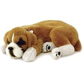 Perfect Petzzz Boxer