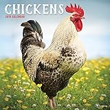 2018 Chickens Wall Calendar by 