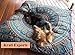 Krati Exports Indian Floor Pillow Cushion Covers in Mandala Design (Blue and White)