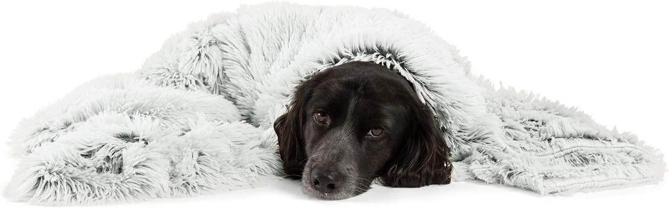designer dog blankets