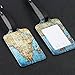 Lizimandu PU Leather Luggage Tags Suitcase Labels Bag Travel Accessories - Set of 2 (World Map)