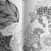 Fairy Shampoo: An Enchanted Coloring Book: Jo Su-Jin: 9781626923249: Amazon.com: Books