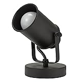 Catalina Lighting Modern Multipurpose Spotlight