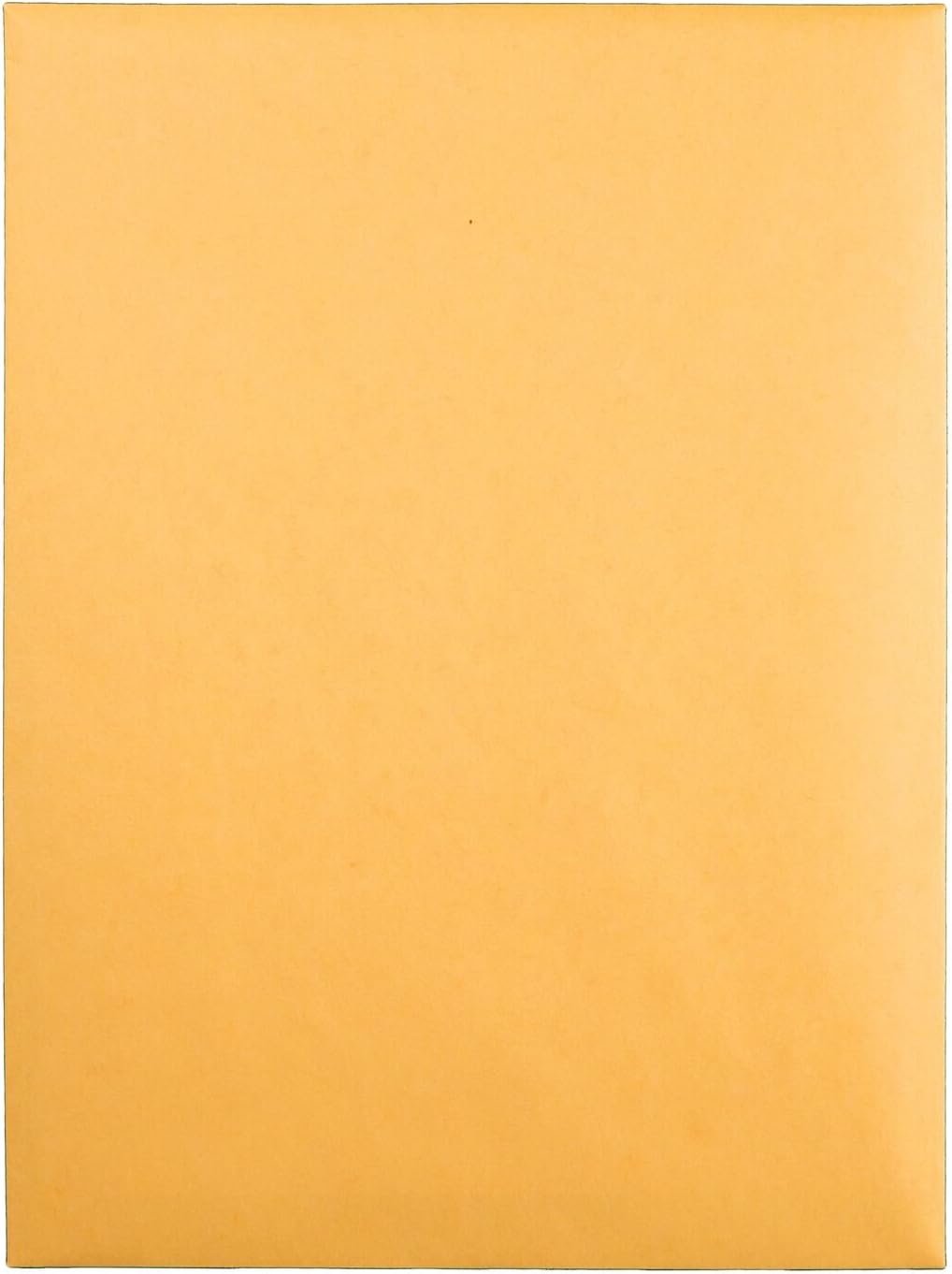 Quality Park 9 x 12 Postage Saving ClearClasp Envelopes, with Reusable Redi-Tac Closure & Gummed Flap, 28 lb Kraft Paper, 100 per Box (QUA43568) : Office Products