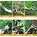 Tvird Gardening Tools Set 6 Piece Gardening Kit with Heavy Duty Cast-Aluminum Heads & Ergonomic Handles Including 2 Shovels,Weeding Fork,Hand Rake,Hand Fork,a Sharp Pruner.thumb 3