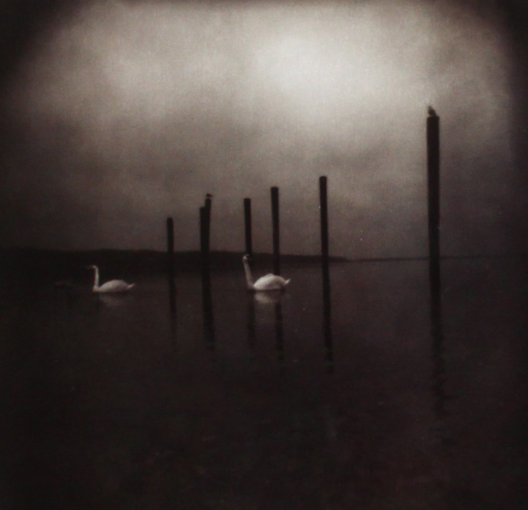 Conference of the Birds Album Art