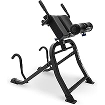 Titan Fitness Economy H-PND, Reverse Hyperextensions Lower Body