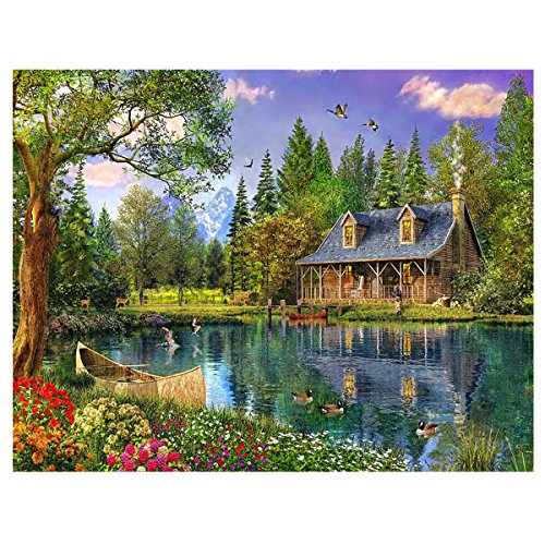 Blxecky 5D DIY Diamond Painting Crafts Kits，Home（16X12inch/40X30CM）