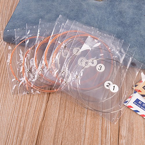 Alice A2012 Stainless Steel Coated Copper Alloy 12-Strings Acoustic Guitar Strings