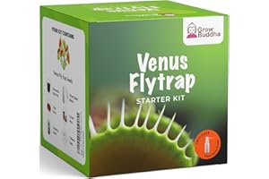 GROW BUDDHA Venus Fly Trap Starter Kit Bonsai - Grow Your Own Venus Fly Trap Kit – Easily Grow Your Own Carnivorous Plant with Our Complete Beginner Friendly Seeds Starter Kit – Unique Gift Idea