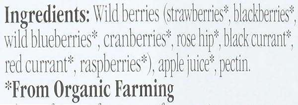 FIOR DI FRUTTA, FRUIT SPREAD WILD BERRY ORGANIC, 8.82 OUNCE