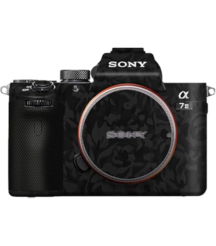 SONY - SONY a7III film What I film with | Sony a7iii cinema rig - YouTube