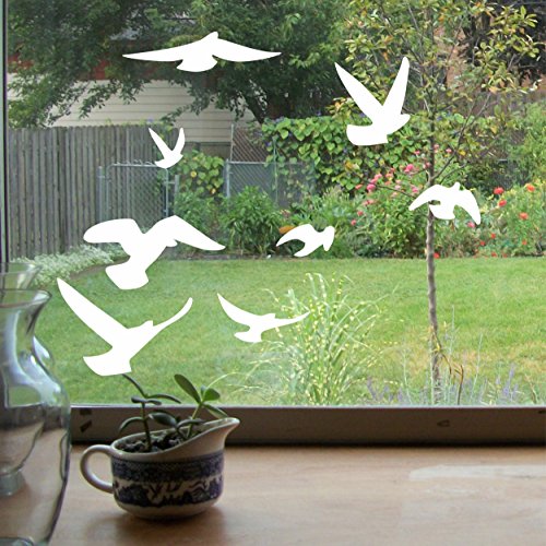 AntiCollision Stickers to Prevent Bird Strikes on Window Glass Set